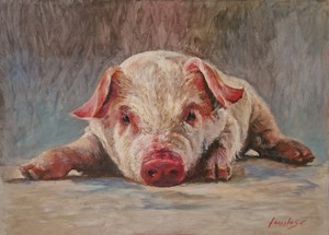 Exposici&oacute;n actual Babel